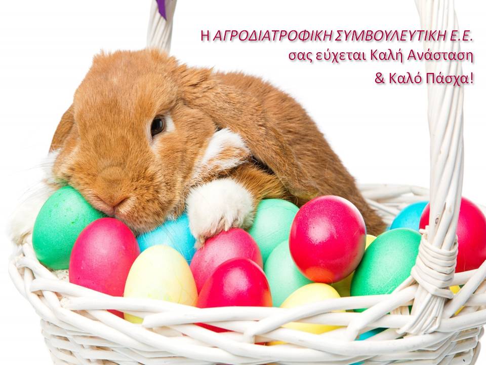 ΚΑΛΗ ΑΝΑΣΤΑΣΗ & ΚΑΛΟ ΠΑΣΧΑ!
